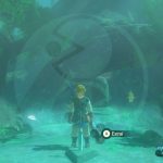 Zelda Breath of the Wild Spada Suprema Bosco Korogu Nintendo Wii U Switch Gamempire