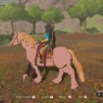 Zelda Breath of the Wild cavallo bianco Totes Stallaggio della piana Gamempire